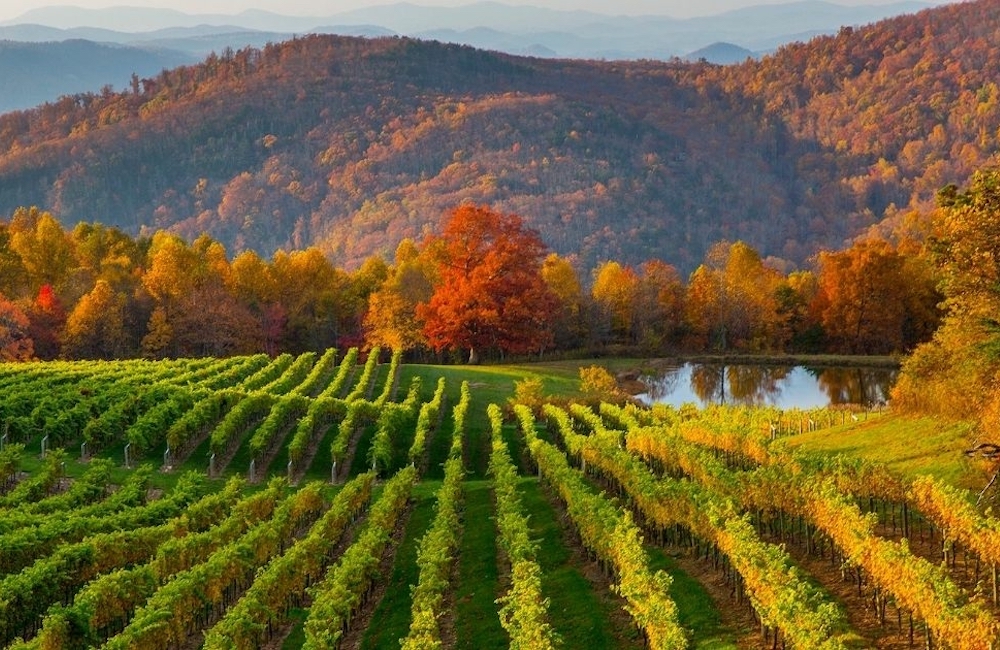 winery tours asheville nc